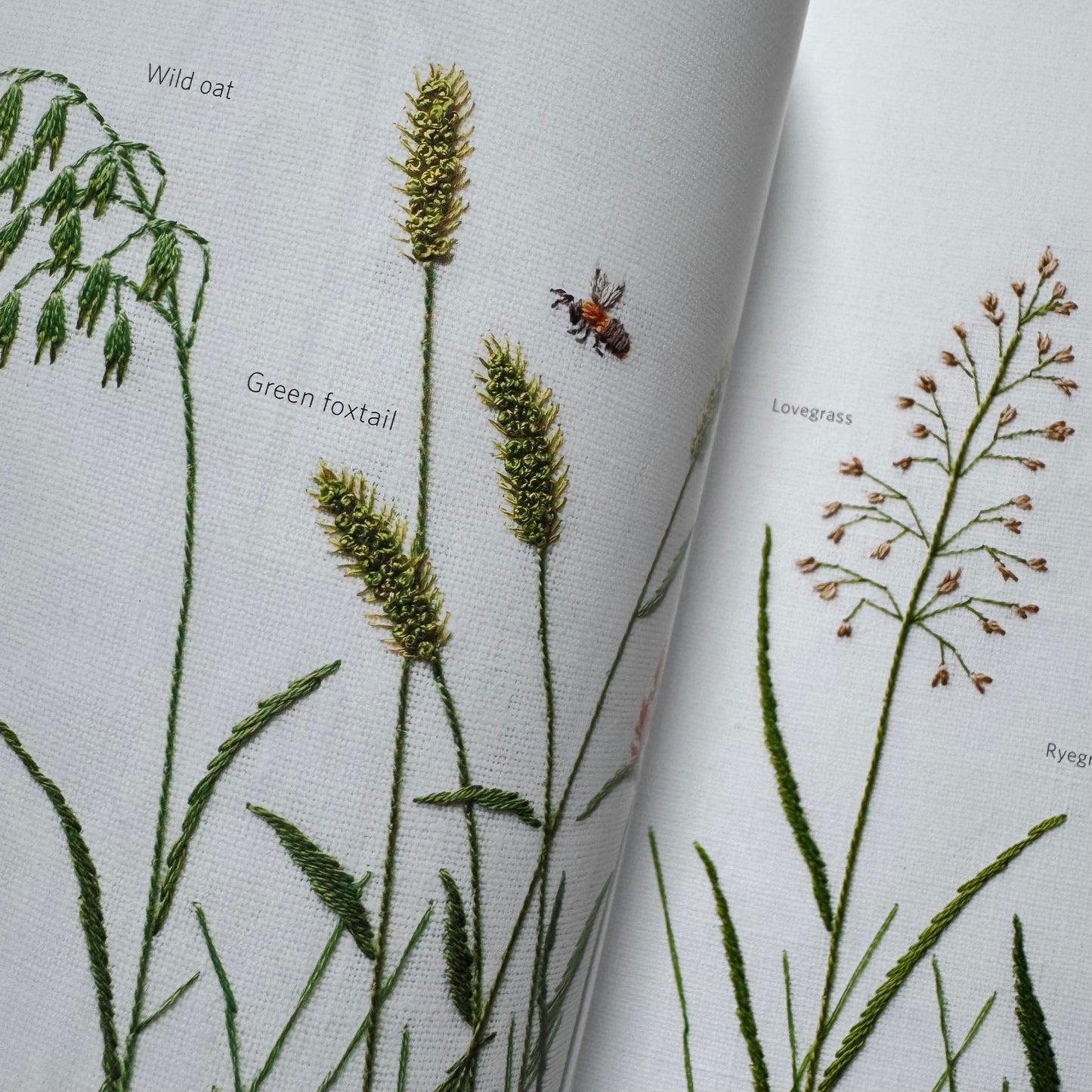 Libro "Embroidered Wild Flowers" Kazuko Aoki