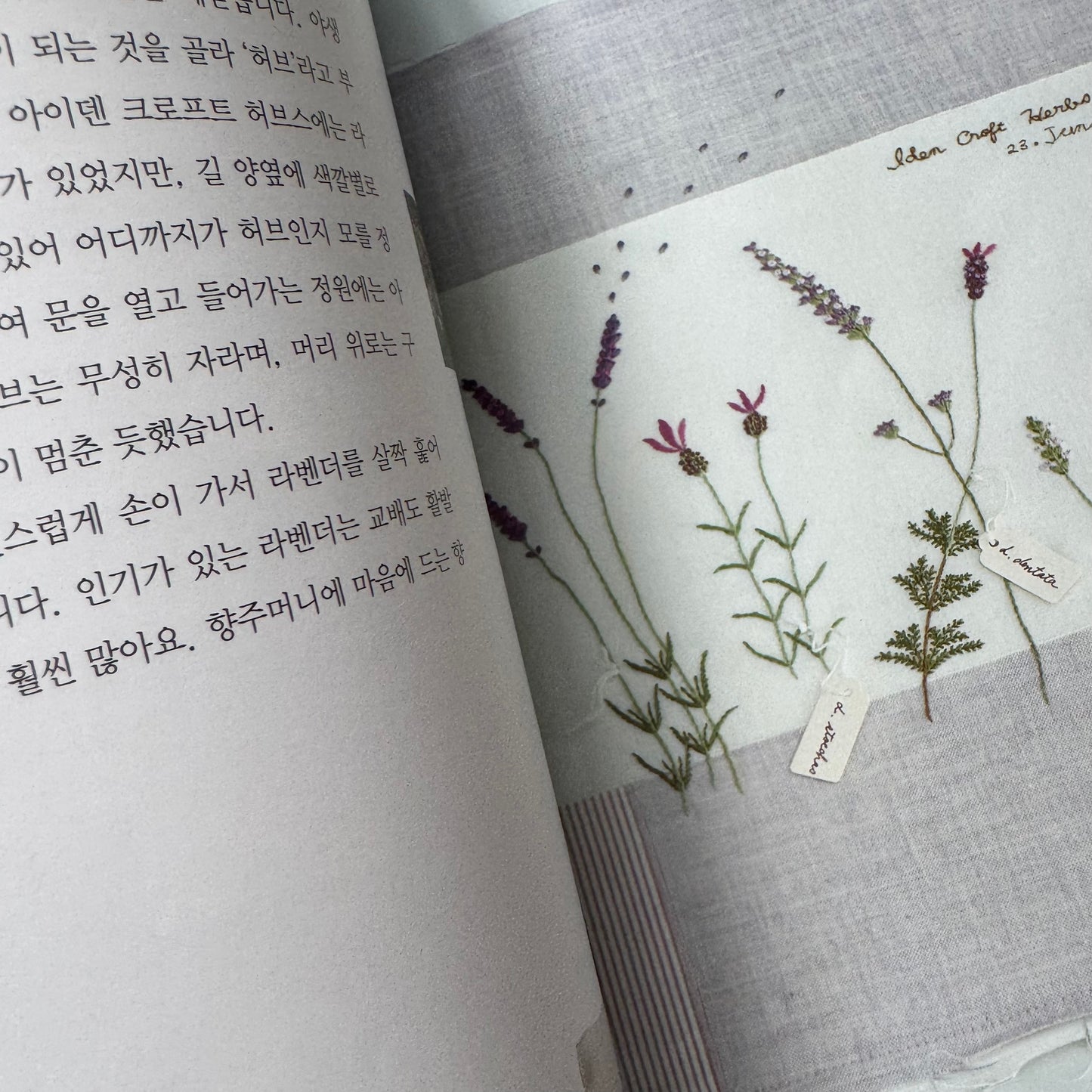 Libro "Feliz Viaje de Bordado". Kazuko Aoki