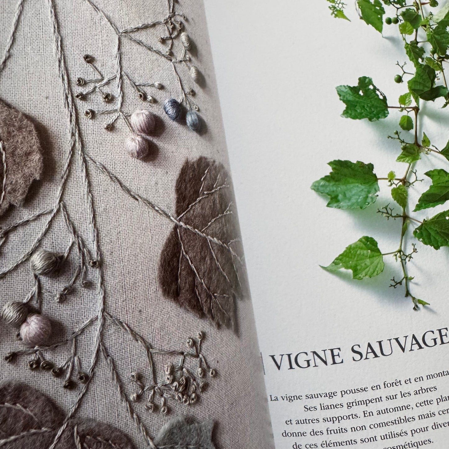 Libro "Jolies fleurs en teinture végétale"