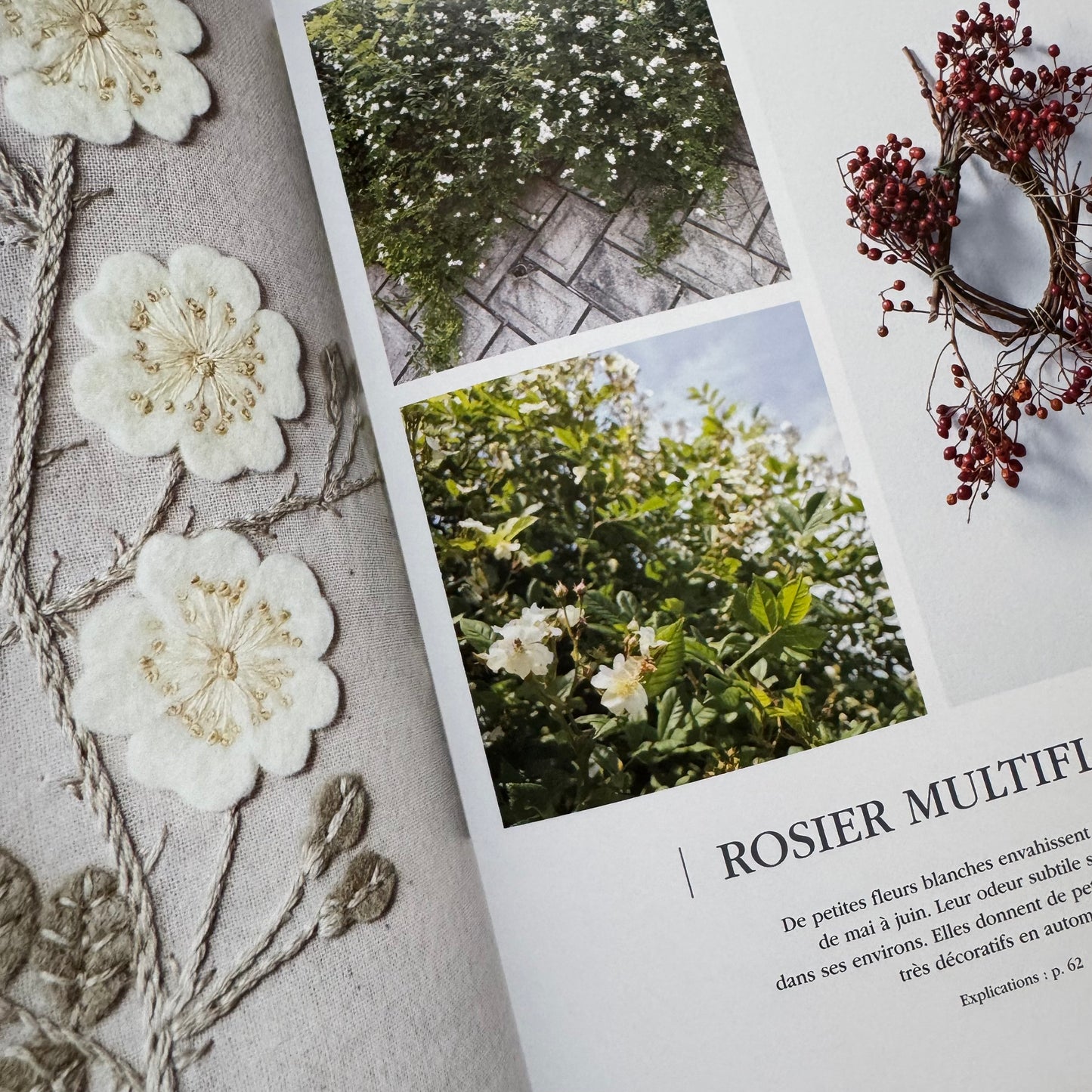 Libro "Jolies fleurs en teinture végétale"