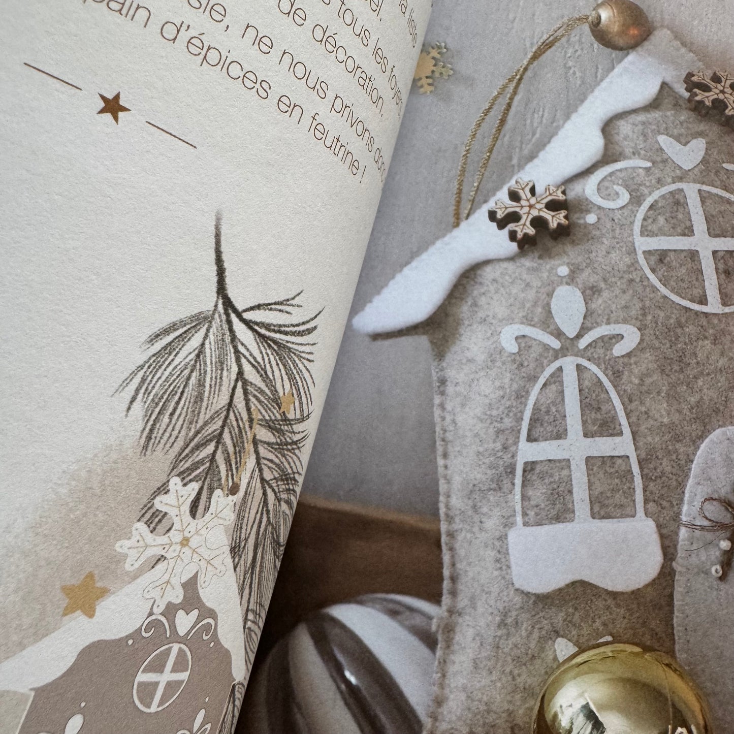 Libro "Ma décoration de Noël en feutrine"